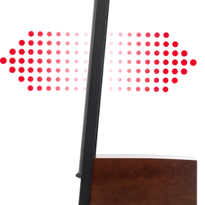 Martin Logan Classic ESL 9 2
