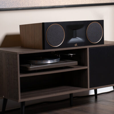 Martin Logan Motion XT C100