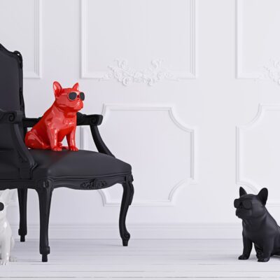 Jarre Aerobull XS bluetooth speaker