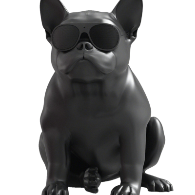 Jarre Aerobull HD1 Wireless Speaker 1