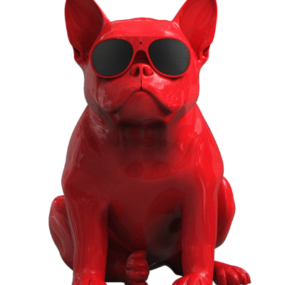 Jarre Aerobull HD1 Wireless Speaker 2