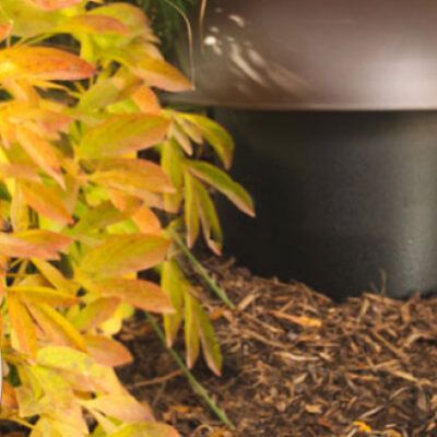 Martin Logan Garden Speakers