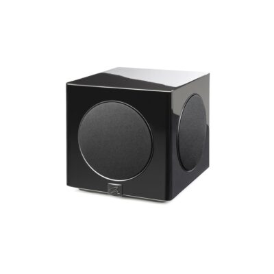 Martin Logan Abyss 10 Subwoofer