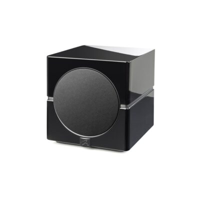 Martin Logan Dynamo 10 Subwoofer