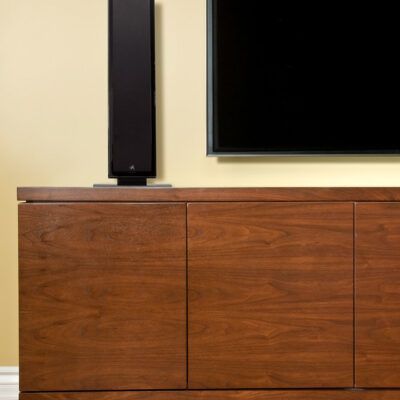 Martin Logan Speakers