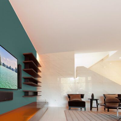 Martin Logan Speakers