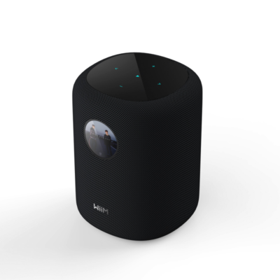 WiiM Wireless Speakers