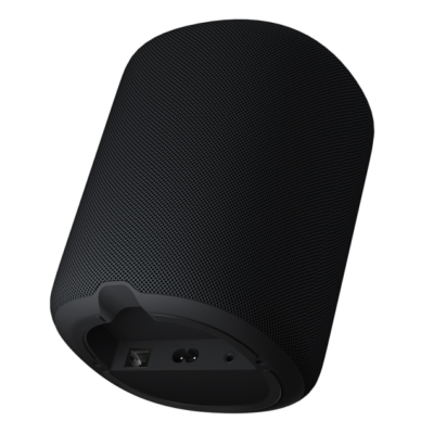 WiiM Wireless Speakers