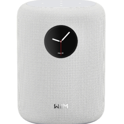 WiiM Wireless Speakers