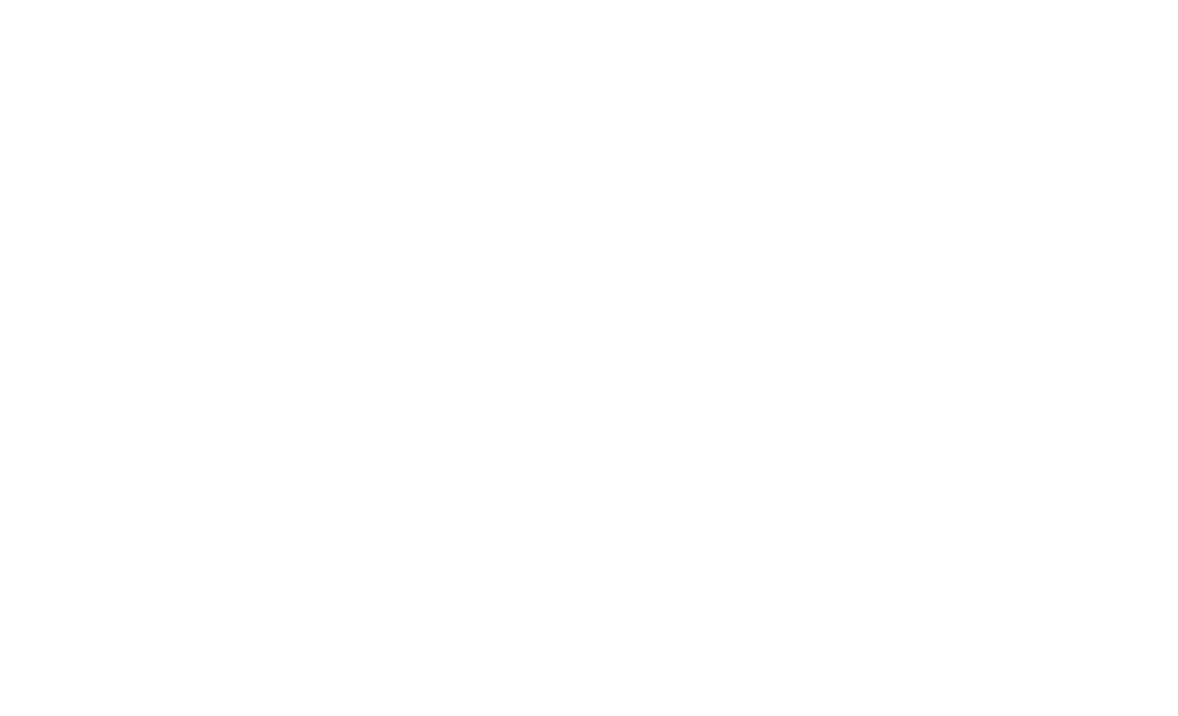 Martin Logan