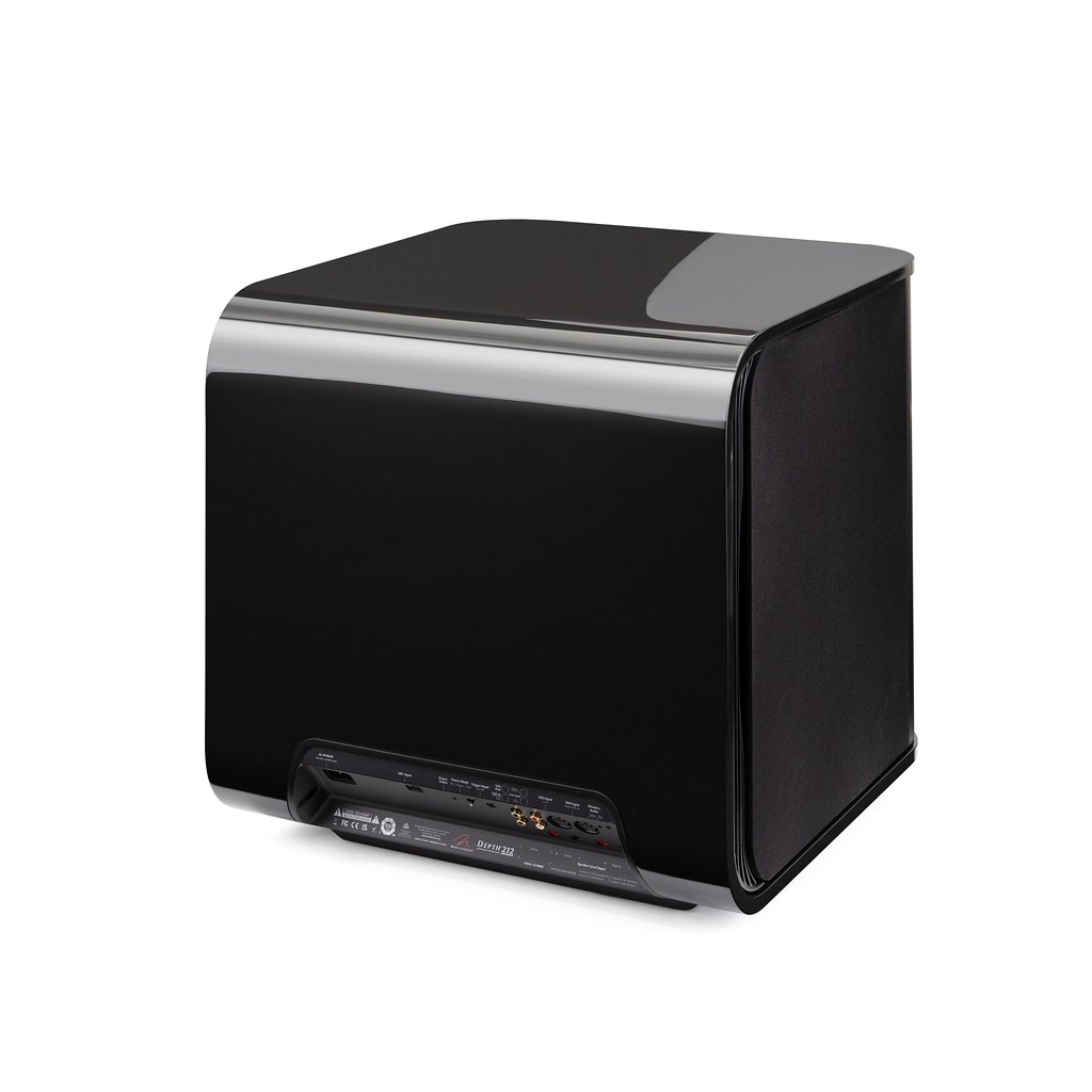 Martin Logan Depth 212 Subwoofer