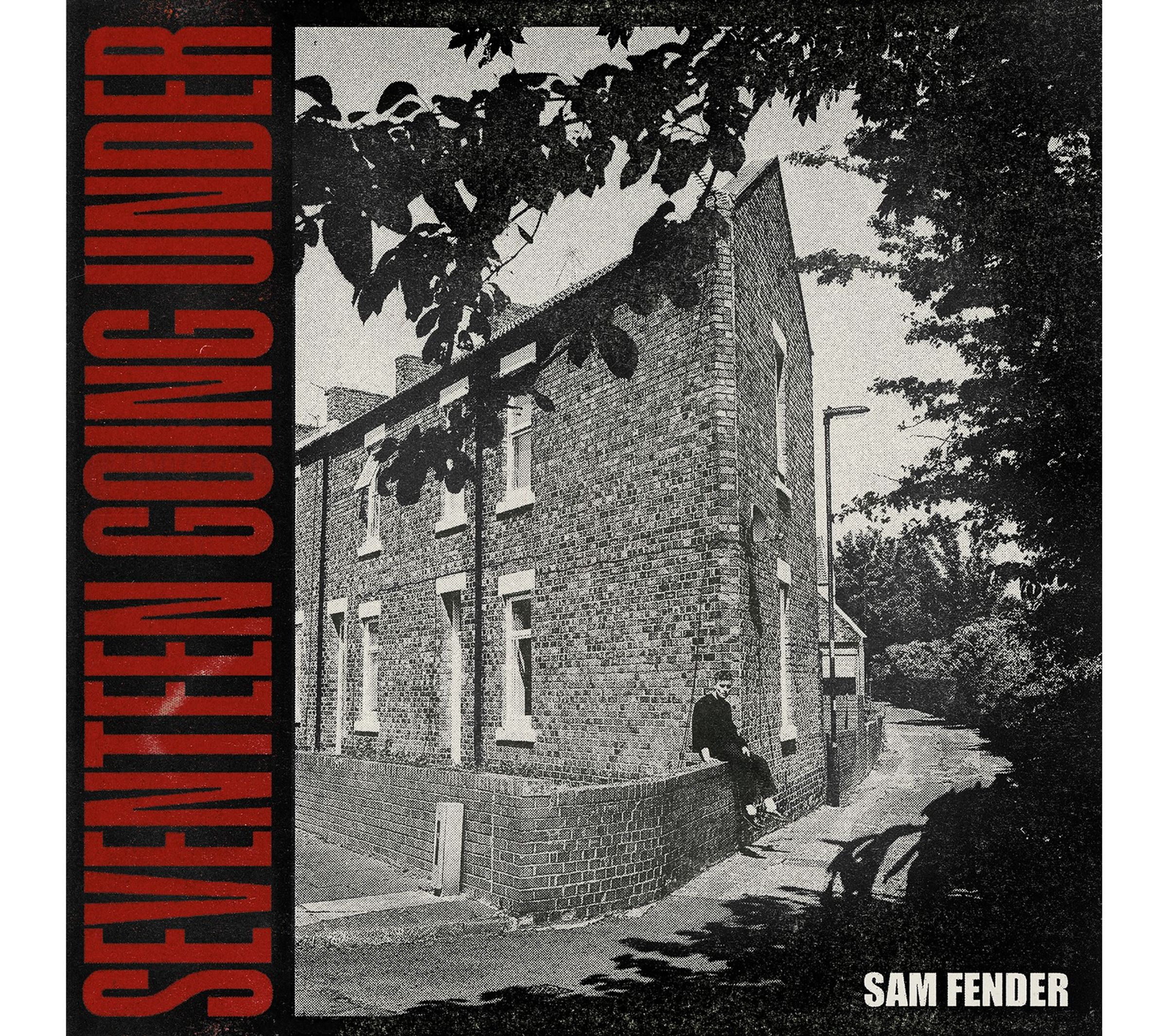 Sam Fender – Seventeen Going Under (180g) — barcode 0602438344574