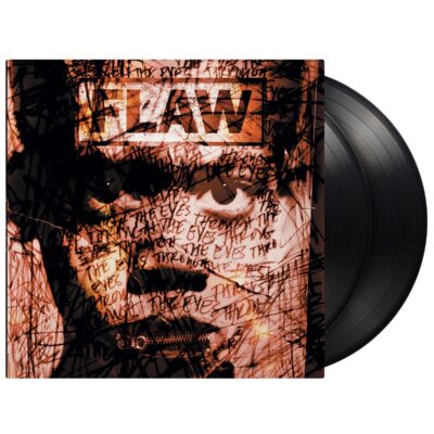 Flaw – Through The Eyes (25th Anniversary) (180g) — barcode 0602488534888