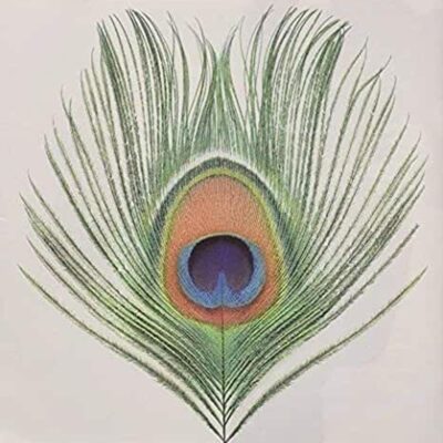 – Apple Venus (Vol.1) — barcode 0633367789426