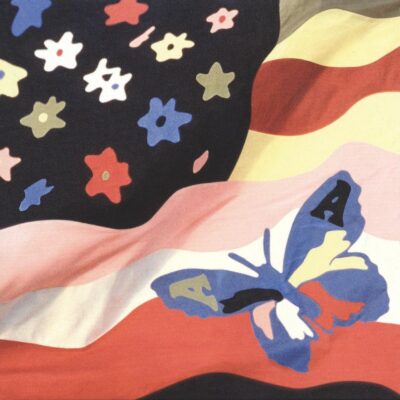The Avalanches – Wildflower — barcode 0634904075514