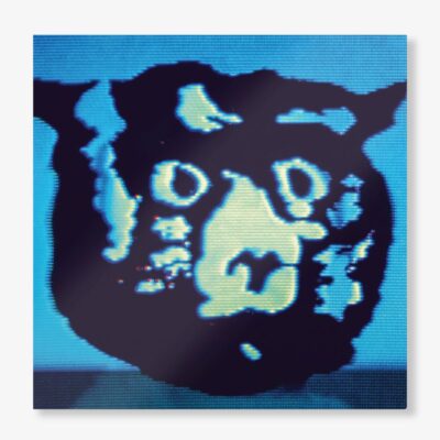 R.E.M. – Monster (25th Anniversary Edition) (remastered) (180g) — barcode 0888072111493