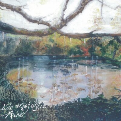 Trembling Bells – Wide Majestic Aire — barcode 5052442008477
