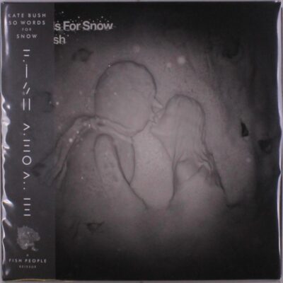 Kate Bush – 50 Words For Snow (2018 Remaster)(180g) (Limited Edition) (Snowy White Vinyl) (Indies Only) — barcode 5057998201082