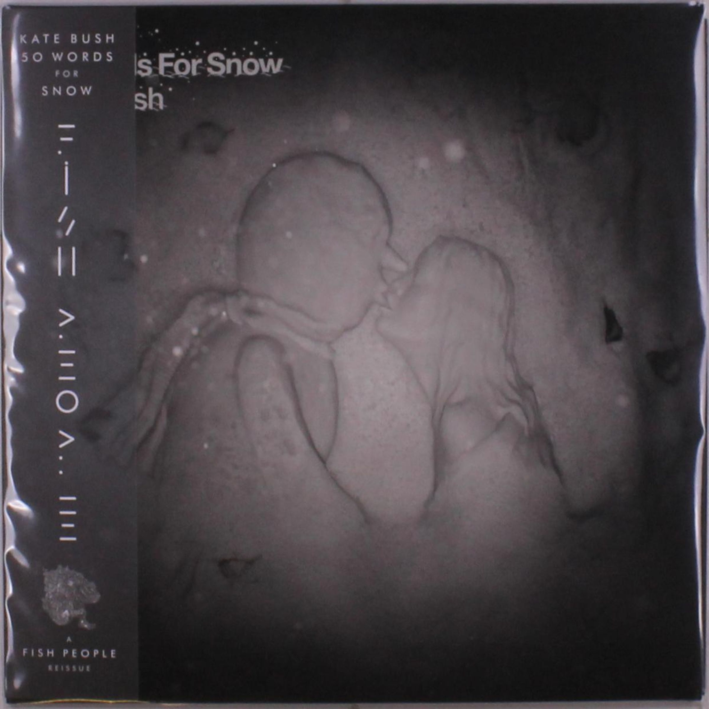 Kate Bush – 50 Words For Snow (2018 Remaster)(180g) (Limited Edition) (Snowy White Vinyl) (Indies Only) — barcode 5057998201082