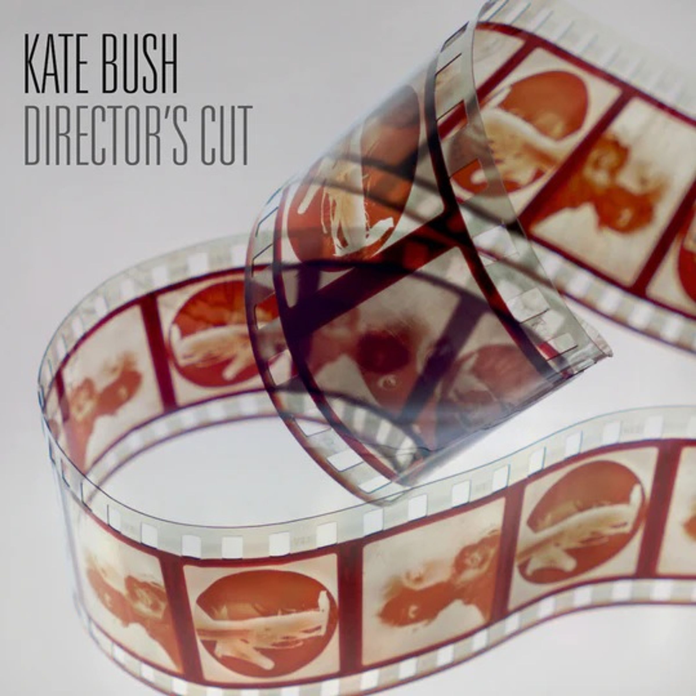 Kate Bush – Director's Cut (2018 Remaster) (180g) (Black Vinyl) — barcode 5057998268689