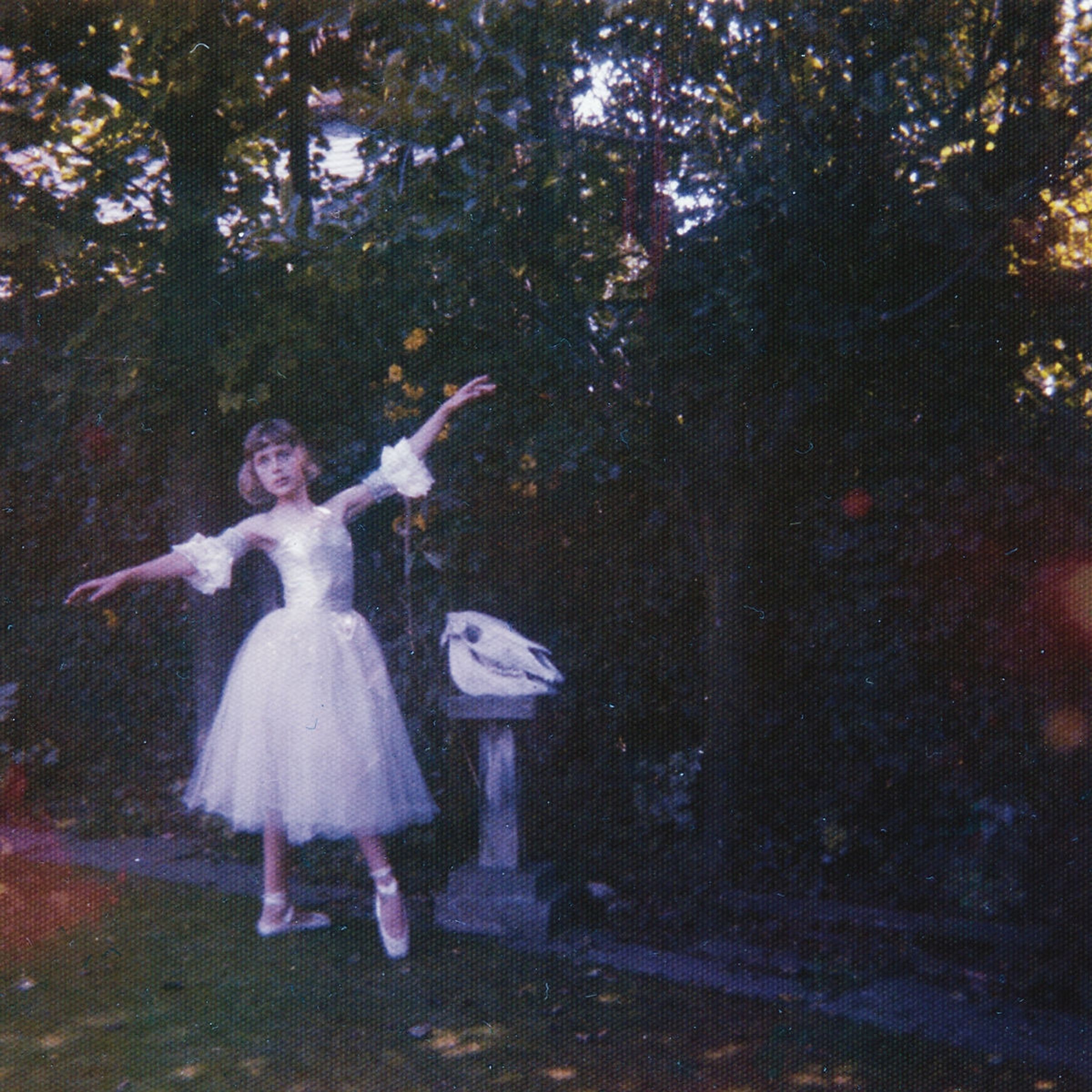 Wolf Alice – Visions Of A Life (180g) — barcode 5060257960965