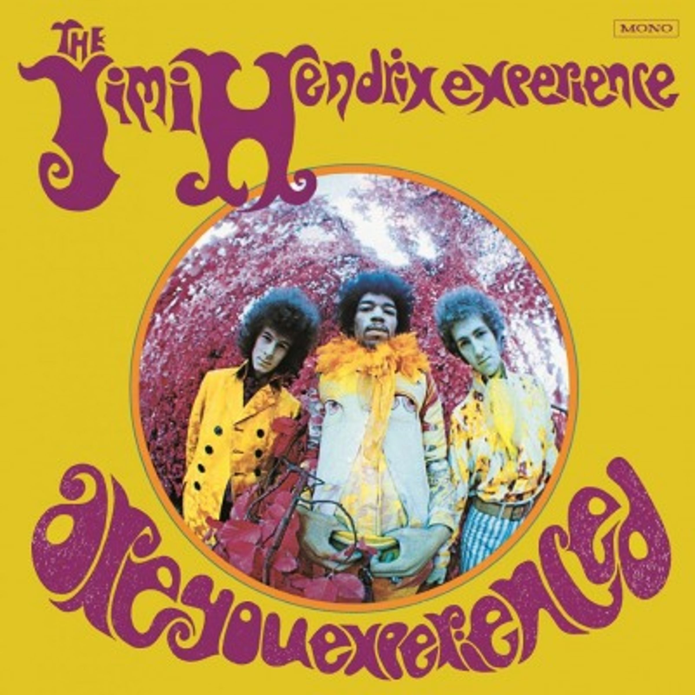 Jimi Hendrix – Are You Experienced (remastered) (180g) (US Version) (mono) — barcode 8718469532285