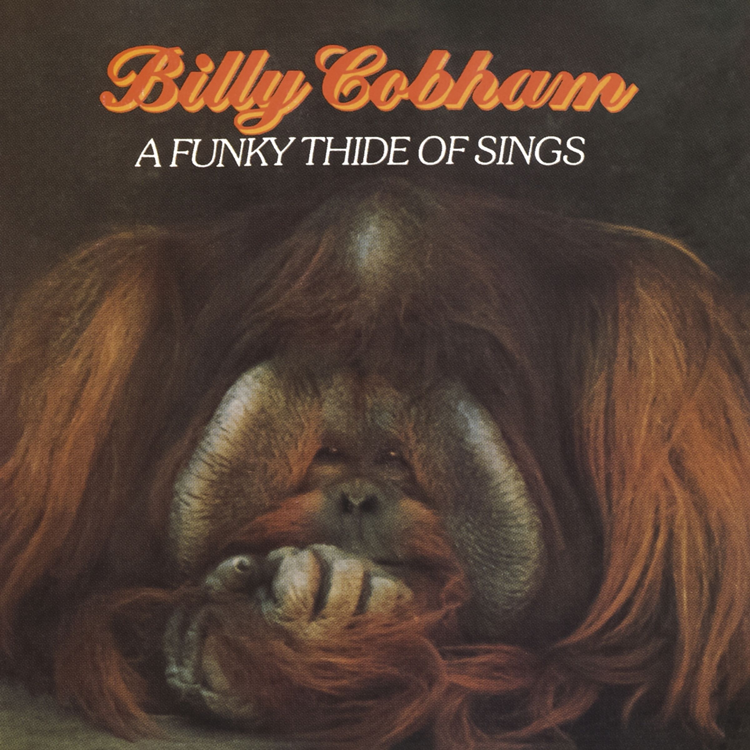 Billy Cobham – A Funky Thide Of Sings — barcode 8718627232941